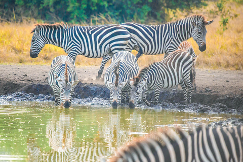 Kampala: Lake Mburo National Park & Horse Riding Tour