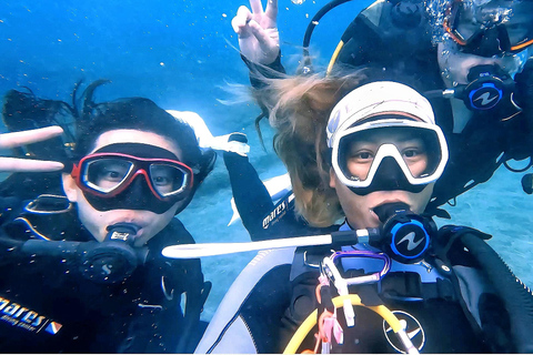 Aucune expérience requise - Découvrez la plongée avec prise en chargeAucune expérience requise - Découvrez la plongée sous-marine avec prise en charge