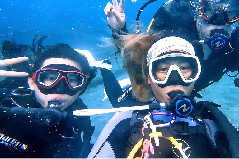 Aucune expérience requise - Découvrez la plongée avec prise en chargeAucune expérience requise - Découvrez la plongée sous-marine avec prise en charge