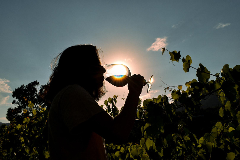 Ijevan: Visita à fábrica de vinho e aguardente com prova