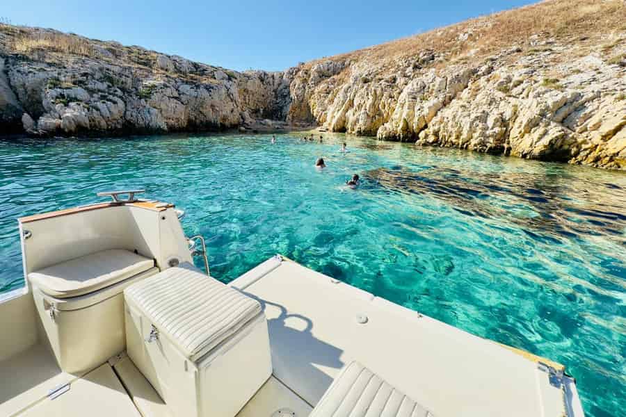 Bootsfahrt und Schwimmen in den Calanques + Paddel-Option. Foto: GetYourGuide