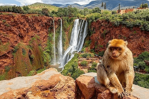 Au départ de Marrakech : Cascades d&#039;Ouzoud - Visite guidée et tour en bateau