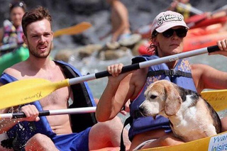 Saillans: Canoe rental and trips on the Drôme River