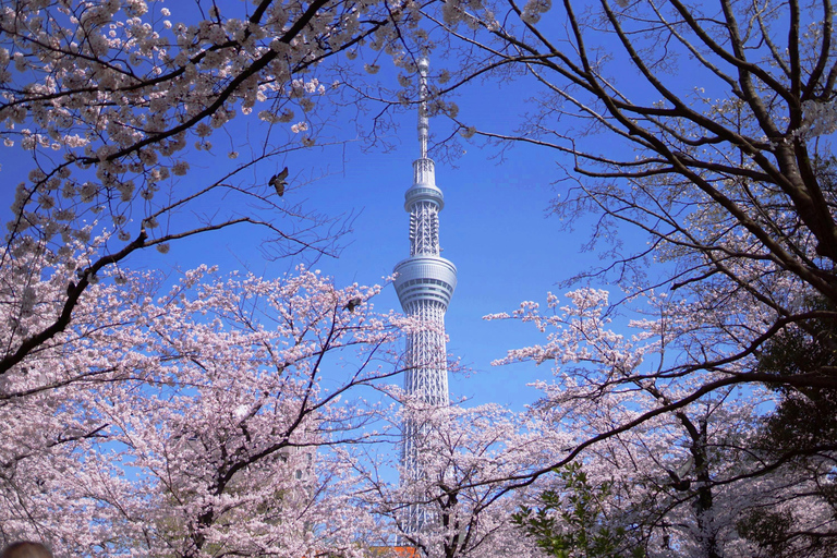 Visite personnalisable de Tokyo avec chauffeur et transport personnel