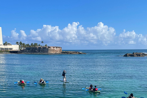 Clear Kayak Eco Tour - San Juan