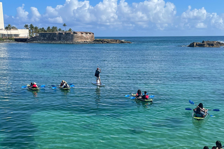 Clear Kayak Eco Tour - San Juan