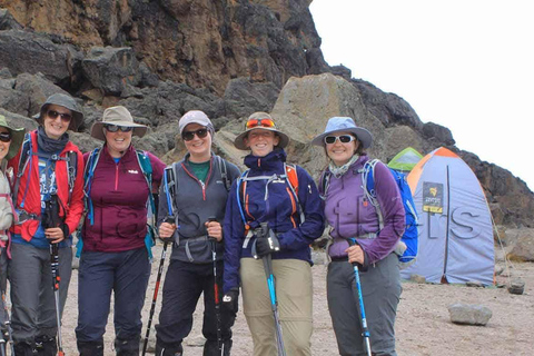 Moshi: Excursión de un día a la meseta del Shira con caminata y recorrido panorámico en cocheMoshi: Excursión de un día a la meseta del Shira con caminata y viaje panorámico 