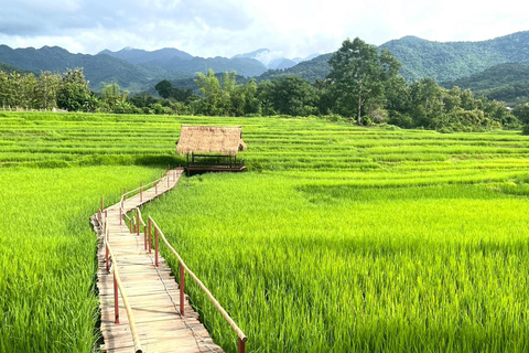 Kuang Si Waterfall & Rice Farm Tour with Sunset Cruise