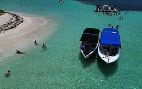  - Canarie.it