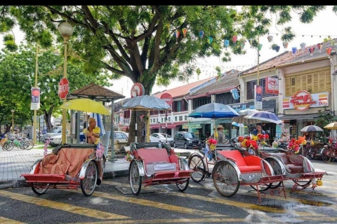 Aufregende lokale Ganztagestour auf der Insel Penang /8Stunden