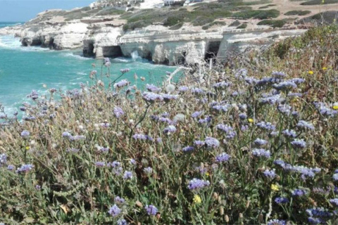 Journée complète à Akamas : chutes d&#039;eau d&#039;Adonis et lagune bleue d&#039;Aphrodite