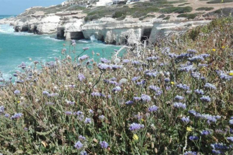 Dia inteiro nas cascatas de Akamas Adonis e na Lagoa Azul de Afrodite