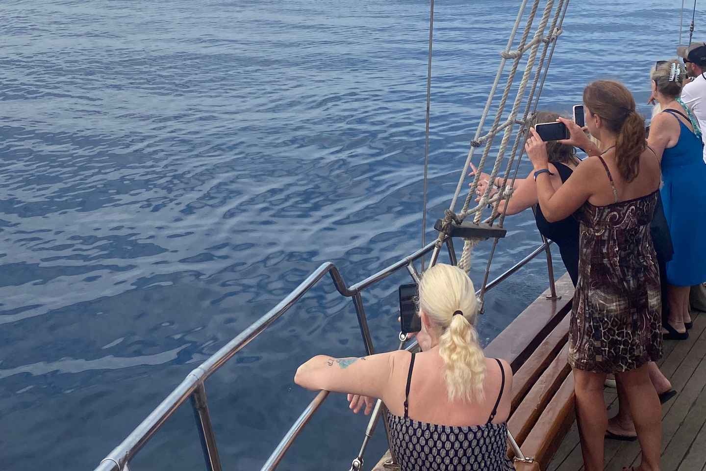 Los Cristianos: Avventura in Barca e Avvistamento Balene