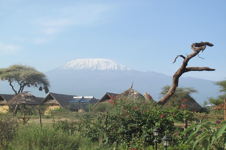 2-dniowe safari na słoniach w Amboseli