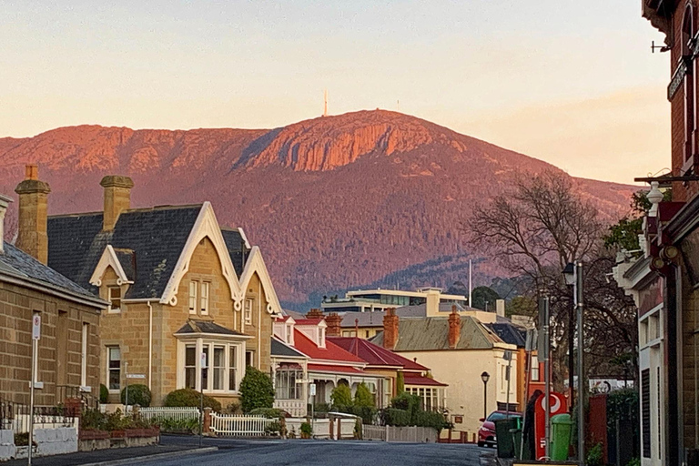Hobart: passeio privado pela cidade com Monte Wellington e chá