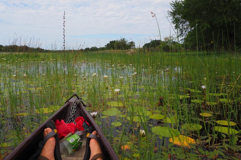 Maun: Okavango Delta Mahango Mokoro Tour with Local Guide