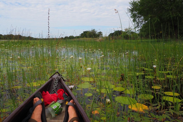 Maun: Okavango Delta Mahango Mokoro Tour with Local Guide