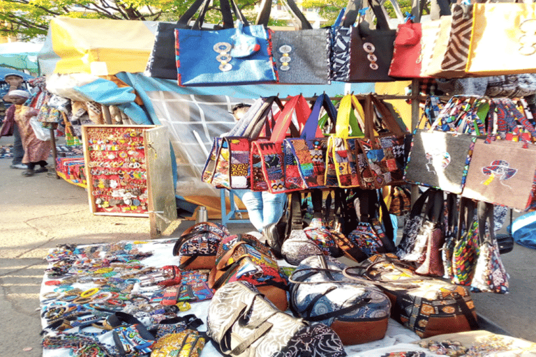 Tour di un giorno della fauna selvatica di Amboseli e visite ai villaggi Masai