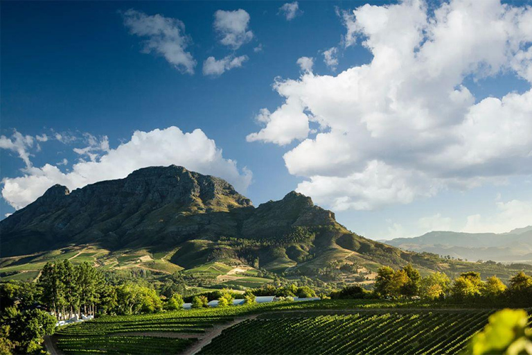 Cape Wineland 3 Award Winning Vineyards