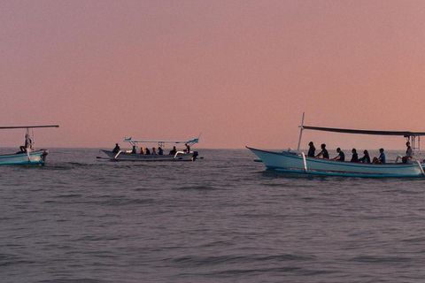 Bali Lovina dolphin Tour & Watching Sunrise Bali Lovina dolphin & Watching Sunrise