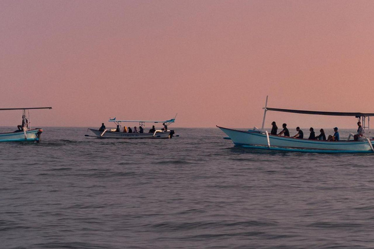 Bali Lovina dolphin Tour & Watching Sunrise Bali Lovina dolphin & Watching Sunrise