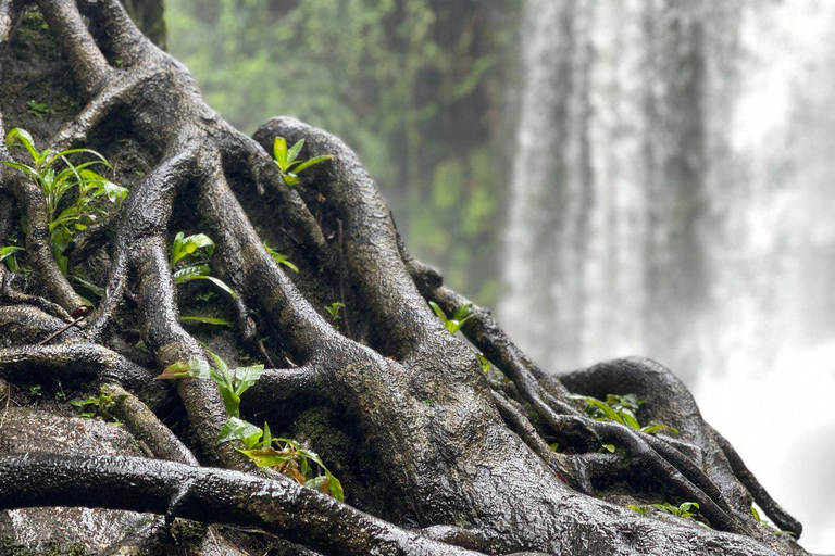 Siem Reap: Kulen Waterfall and 1000 Linga River TourPrivate-Tour: Kulen Waterfall and 1000 Linga River