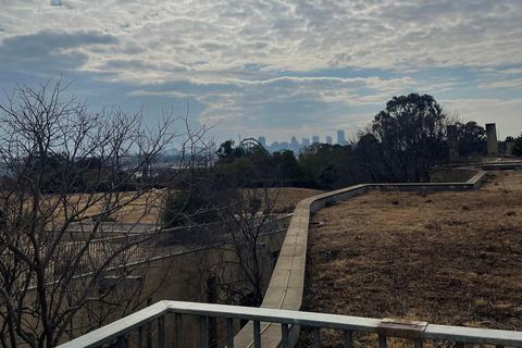 Johannesburgo: tour nocturno con bebida opcional en la azoteaJohannesburgo: tour nocturno con bebida opcional en una azotea