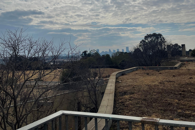 Johannesburgo: tour nocturno con bebida opcional en la azoteaJohannesburgo: tour nocturno con bebida opcional en una azotea
