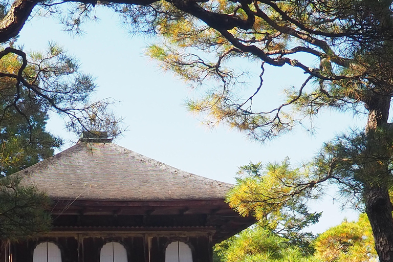 E-Bike Tour in Kyoto with Asuka, Japanese graduate student