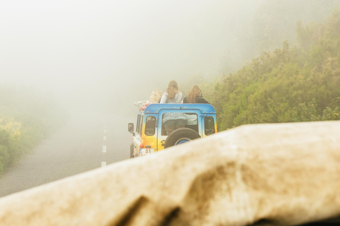 Funchal: Tour in fuoristrada delle Terrazze Incantate, Porto do Moniz e FanalTour condiviso