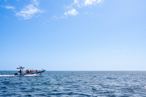 Vila Franca do Campo: Snorkeling & Boat Tour at the Islet
