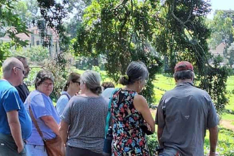 Hele dag Kiambethu Tea Farm Tour