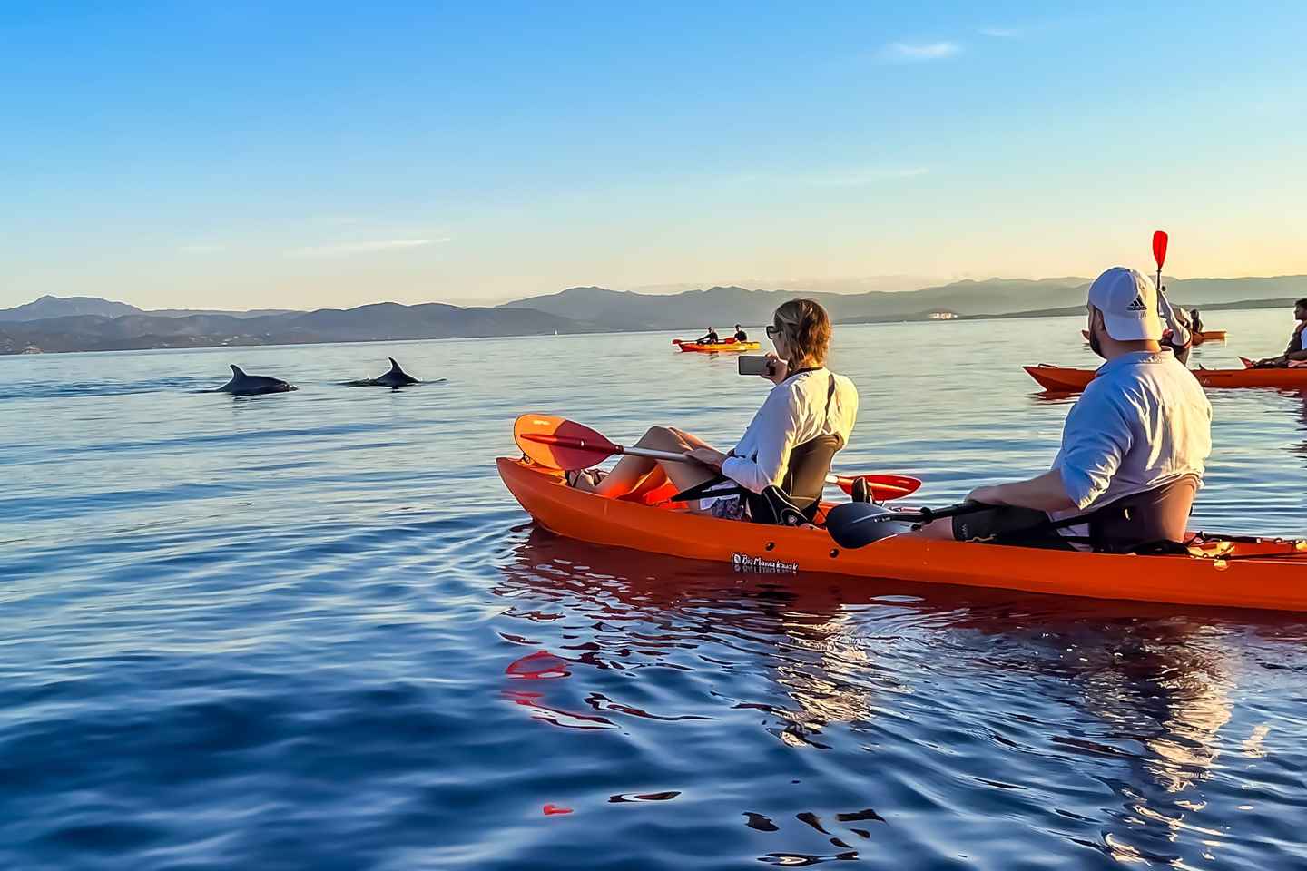 Golfo Aranci: Kayak Tour with Dolphins and Aperitif