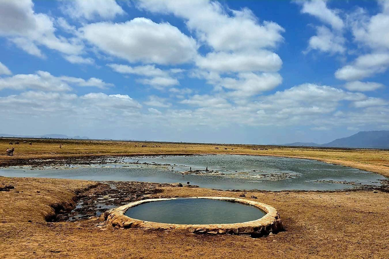 2-Day Tsavo East & Salt Lick Safari–Red Elephants & Treetop