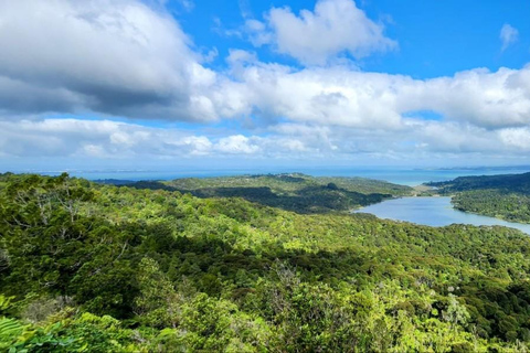 Auckland: Tour noturno com piscina térmica e vista para o pôr do sol