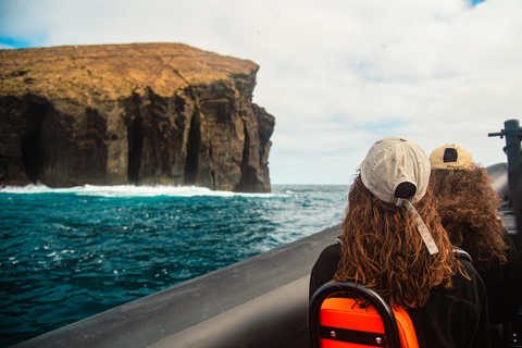 Bootstour "Geheimnisse der Westküste der Insel São Miguel"