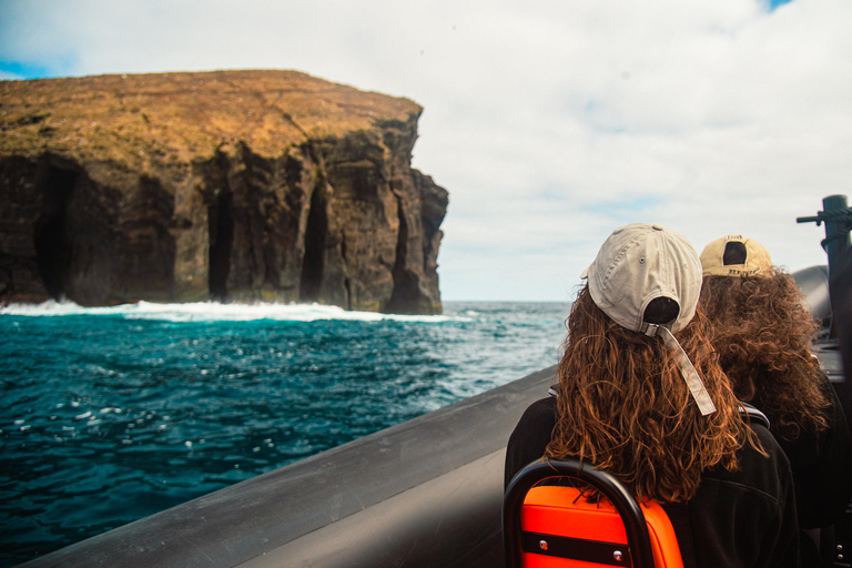 Bootstour "Geheimnisse der Westküste der Insel São Miguel"