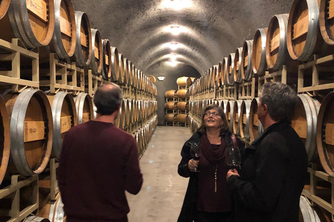 Seattle: Woodinville Guided Wine Tour with Optional Tastings