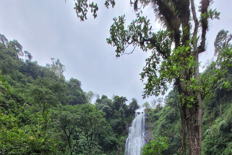 Moshi: Materuni Waterfalls & Coffee Tour with Local Lunch Materuni Waterfalls & Coffee Experience with local Lunch