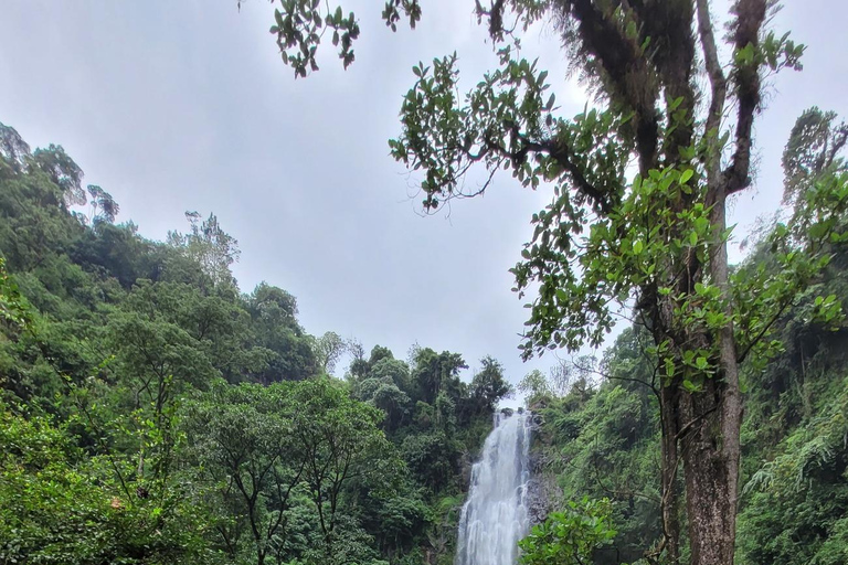 Moshi: Materuni Waterfalls & Coffee Tour with Local Lunch Materuni Waterfalls & Coffee Experience with local Lunch