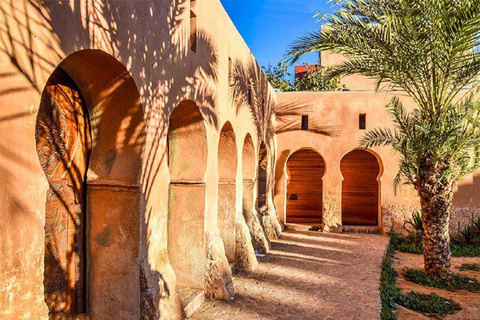 Agadir: Sahara Desert &amp; Tiznit Medina Privet Tour &amp; Lunch