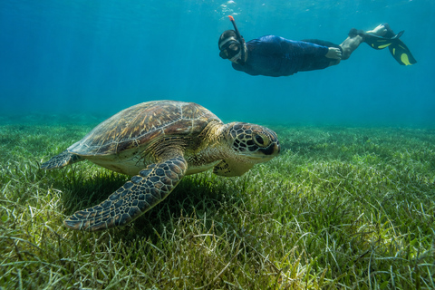 Marsa Alam: Abu Dabbab Beach Snorkeling or Diving Trip Abu Dabbab Beach Snorkeling