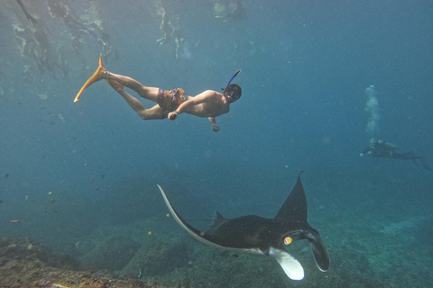 From Bali: Manta Point Snorkeling 3-Spots + Lunch & Pickup