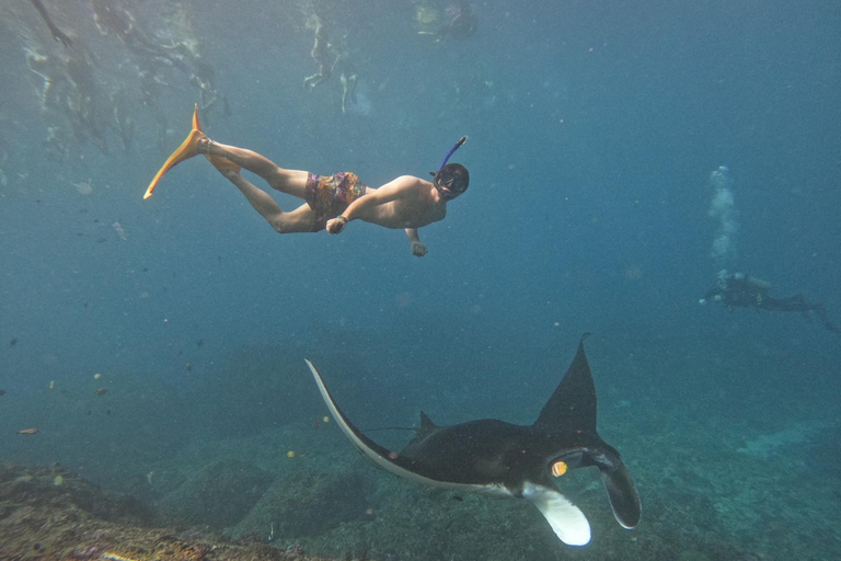 From Bali: Manta Point Snorkeling 3-Spots + Lunch & Pickup