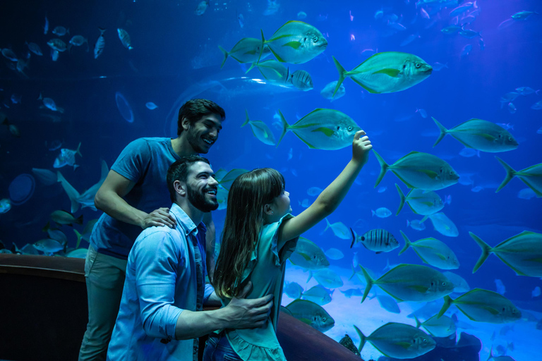Poema del Mar and Las Canteras: Experience from the South of Gran Canaria