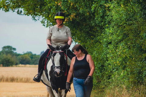 Dublin Mountains: Scenic Guided Horseback Ride 2-hr Dublin Mountains: Scenic Guided Horseback Ride