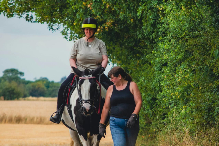 Dublin Mountains: Scenic Guided Horseback Ride 2-hr Dublin Mountains: Scenic Guided Horseback Ride