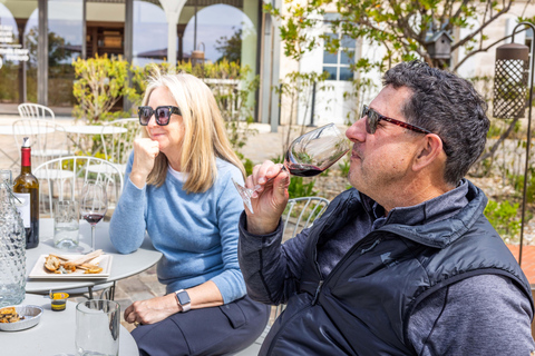 Saint Emilion Wine and Bike Tour Bordeaux: Saint-Emilion Electric Bike Tour with Picnic Lunch