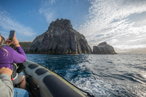 圣米格尔岛：火山奇观、洞穴与历史游船之旅