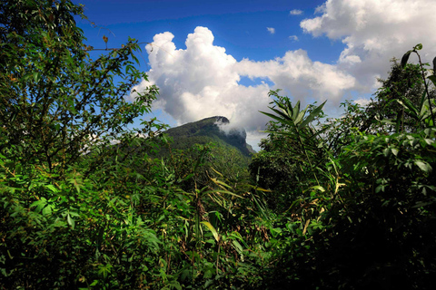 Doi Inthanon Nationaal Park &amp; Wandelen Kew Mae Pan Natuurpad